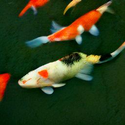 generated: a koi fish #0